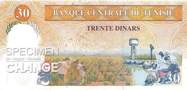 30 dinars tunisiens (TND)