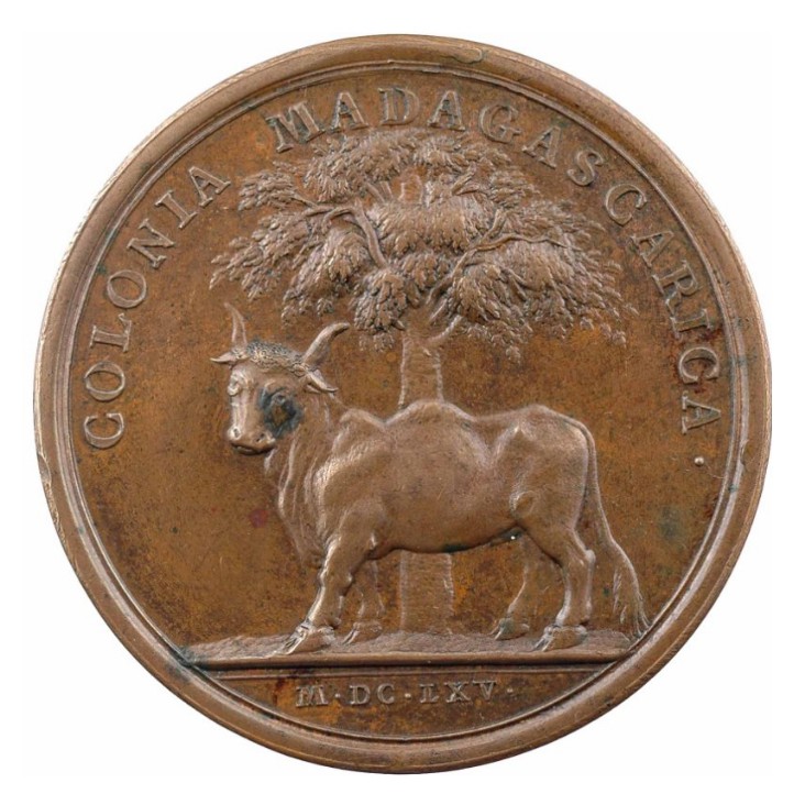 Louis XIV - Madagascar - 1665 revers Louis XIV - Madagascar - 1665 revers