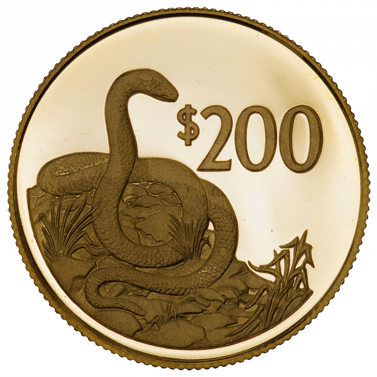 Fiji - 200 Dollars - 1986 revers Fiji - 200 Dollars - 1986 revers
