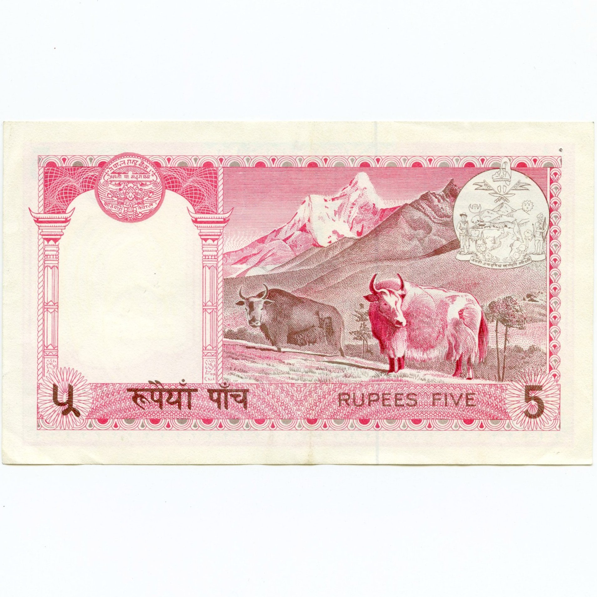 Népal - 5 Rupees revers