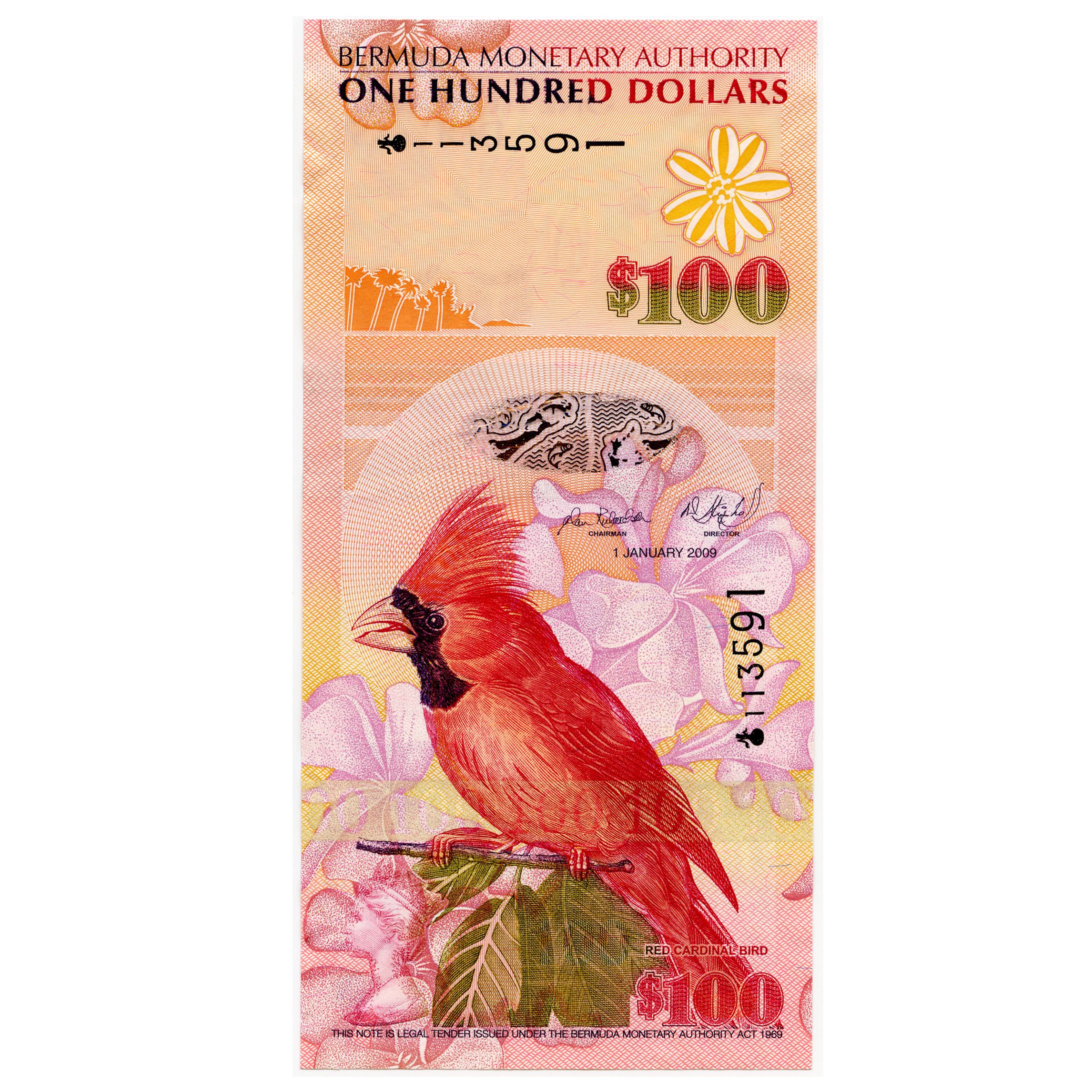 Bermudes - 100 Dollars - 113591 avers