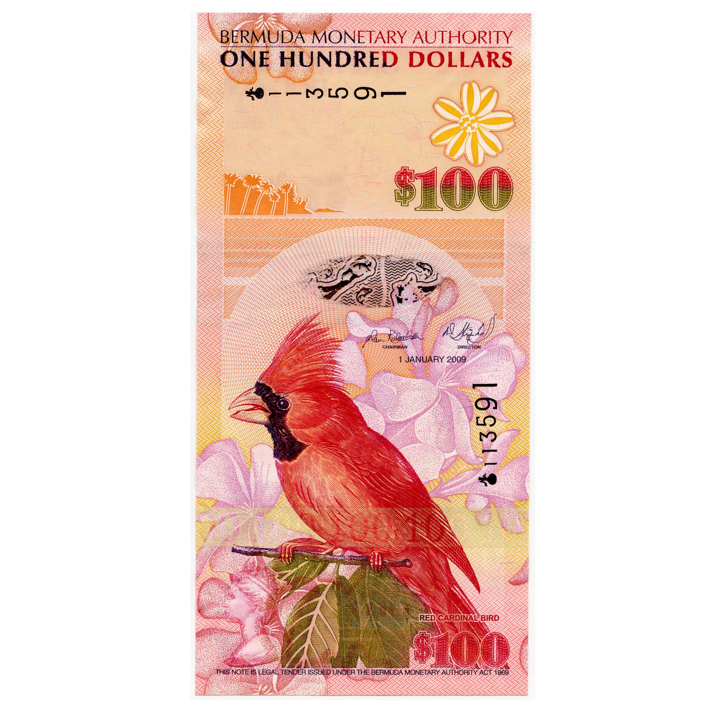 Bermudes - 100 Dollars - 113591 avers Bermudes - 100 Dollars - 113591 avers