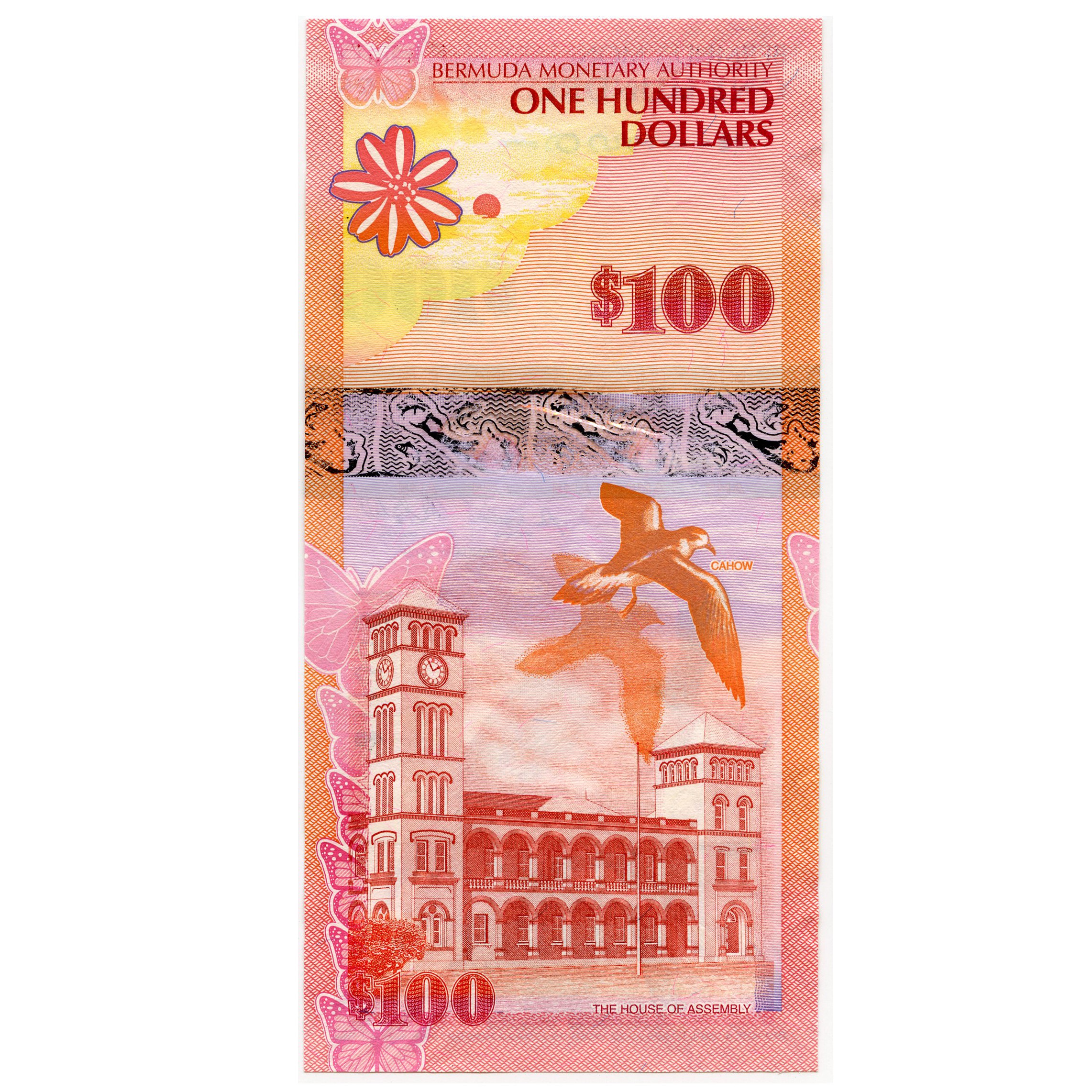 Bermudes - 100 Dollars - 113591 revers Bermudes - 100 Dollars - 113591 revers